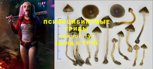 apvp Армянск