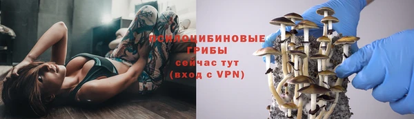 мет Аркадак