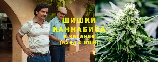 эйфоретик Арсеньев
