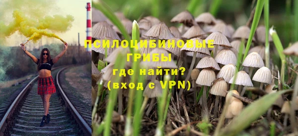 бошки Дмитровск
