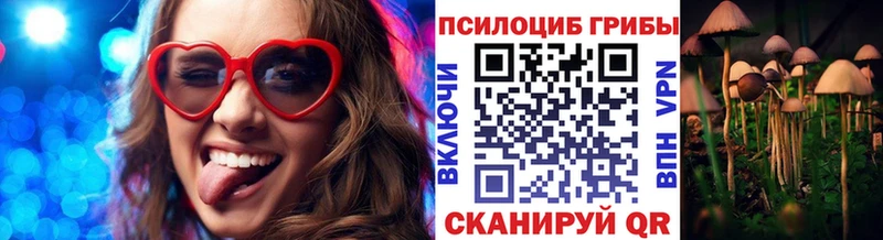 Псилоцибиновые грибы Cubensis  Приволжск 